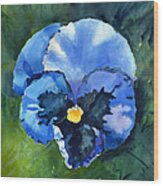 Pansy Blue Wood Print