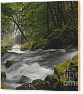 Panther Creek Falls Wood Print