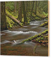 Panther Creek Landscape Wood Print