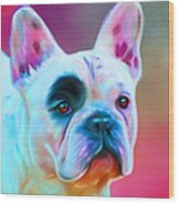 Vibrant French Bull Dog Portrait Wood Print by Michelle Wrighton