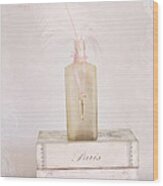 Paris Shabby Chic Romantic Dreamy Paris Pink Books - Vintage Bottle And Key Art Print Wood Print