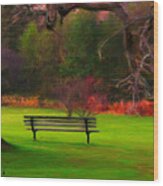 Park Bench Wood Print