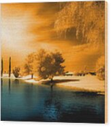 Park In Infrared Wood Print