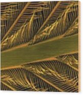 Parrot Feather Rachis Wood Print