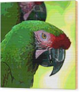 Parrots Posing Wood Print
