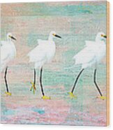 Party Egrets Wood Print