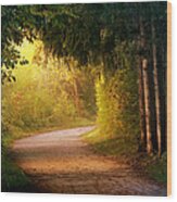 Path To Enlightenment Wood Print