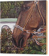 Patient Horse Wood Print