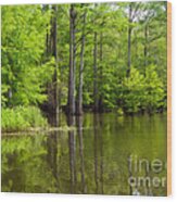 Peaceful Afternoon Wood Print