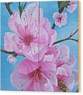 Peach Tree In Bloom Diptych Wood Print