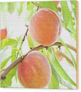 Peaches Growing In Tree Wood Print