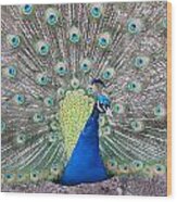 Peacock Wood Print