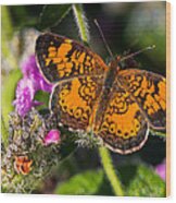 Pearl Crescent Note Card Wood Print