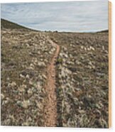 Pedro Fages Trail Wood Print