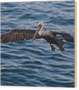 Pelican Landing Wood Print