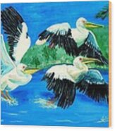 Pelican Trio Wood Print