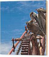 Pelicans In St. Croix Wood Print