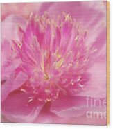 Peony Dream Wood Print