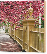 Perfect Time For A Spring Walk Wood Print