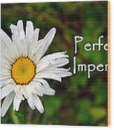 Perfectly Imperfect Daisy Flower Wood Print