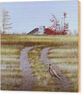 Pheasant Country. Wood Print