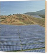 Photovoltaic Solar Array Wood Print