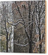 Piastowska Tower In Cieszyn Wood Print
