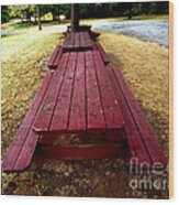 Picnic Tables In A Row Wood Print