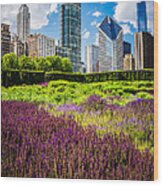 Picture Of Chicago Skyline With Lurie Garden Flowers Wood Print