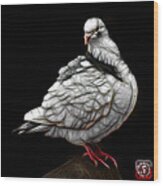 Pigeon Pop Art 5516 - Fs - Bb -  Modern Animal Artist James Ahn Wood Print