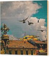 Pigeons Near Monastery In Boudnath Kathmandu Wood Print