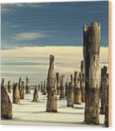 Pilings Ii Wood Print