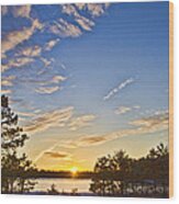 Pine Barrens Sunset #1 Wood Print