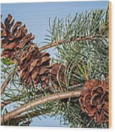 Pine Cones Wood Print