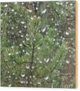 Pine Tree In The Rain Wood Print