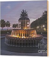 Pineapple Fountain At Night Wood Print