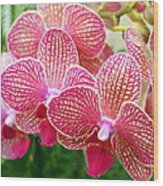Pink And White Orchids Wood Print