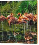Pink Flamingos Wood Print