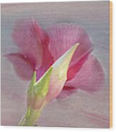 Pink Hibiscus Flower Wood Print