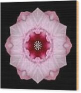 Pink Hibiscus I Flower Mandala Wood Print