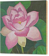 Pink Lily Wood Print