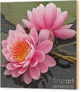 Pink Lotus Pair Wood Print