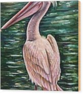 Pink Pelican Wood Print
