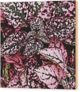Pink - Plant - Petals Wood Print