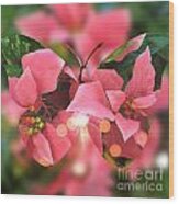 Pink Poinsettia Butterfly Wood Print