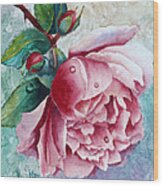Pink Rose With Waterdrops Wood Print