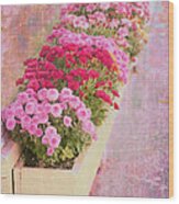 Pink Sidewalk Flowerbox Wood Print