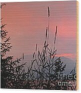 Pink Sky And Grasses Wood Print
