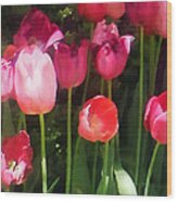 Pink Tulips In Garden Wood Print