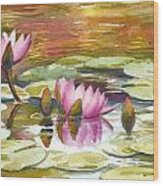 Pink Waterlilies Wood Print